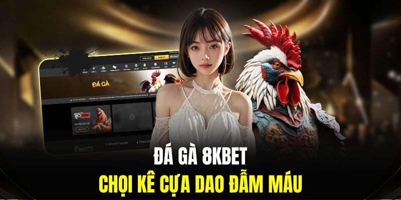 đá gà 8kbet cựa dao 