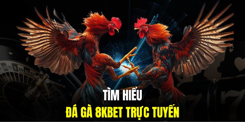 tìm hiểu đá gà 8kbet 