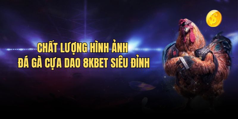 đá gà cựa dao 8kbet chất lượng tốt